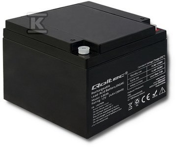 AKUMULATOR AGM 12V 24AH MAX. 360A AKUMULATOR AGM 12V 24AH MAX. 360A