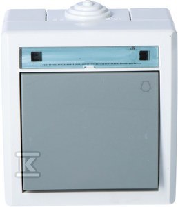 ŁĄCZ.ŚWIATŁO N/T IP55 SZARY AQUANT