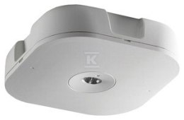 MP2 SURFACE 3H MTD OPEN C/W CGL