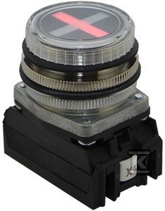 NEF30WPCZ 24-230V AC/DC WSKAŹ.CZER-ZIEL