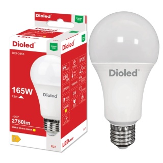 LED SD GLS DIOLED E27 22W/C 2750LM