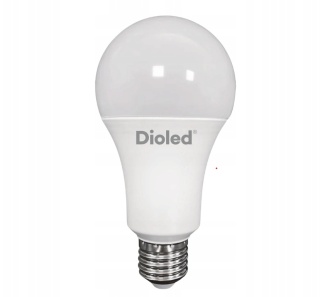 LED SD GLS DIOLED E27 22W/Z 2750LM